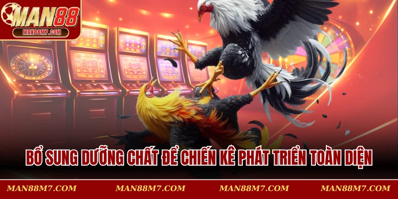 Bổ sung dưỡng chất để chiến kê phát triển toàn diện