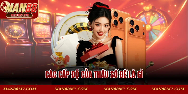 Các cấp độ của thầu số đề là gì