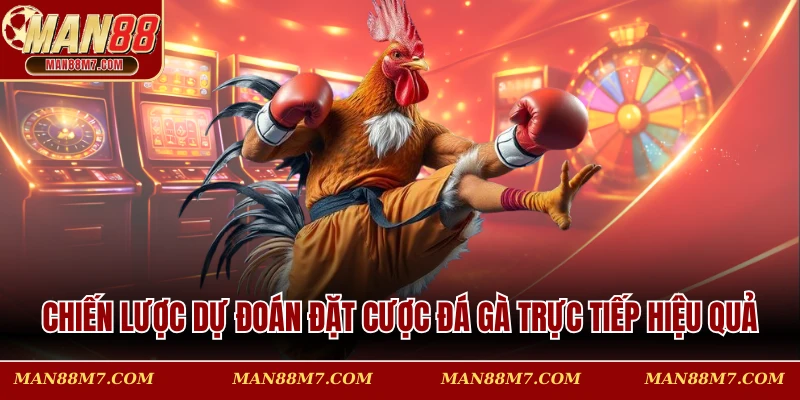 Chiến lược dự đoán đặt cược đá gà trực tiếp hiệu quả
