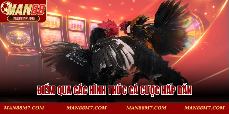 Điểm qua các hình thức cá cược hấp dẫn