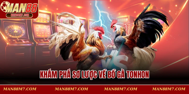 Khám phá sơ lược về bồ gà Tonhon